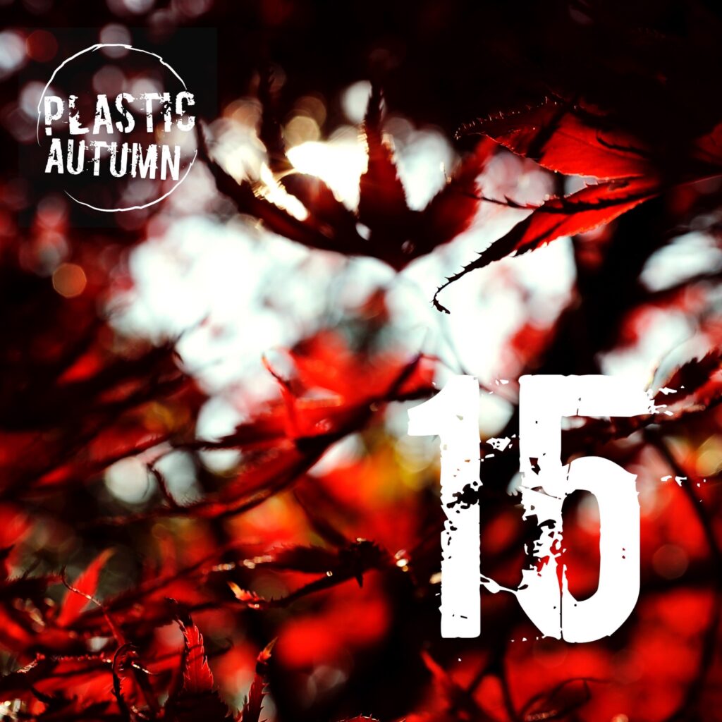 FiPlastic Autumn - fiteen